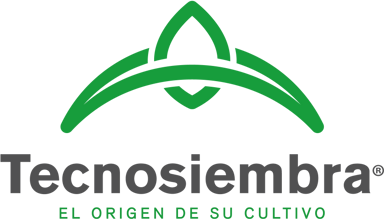 Tecnosiembra